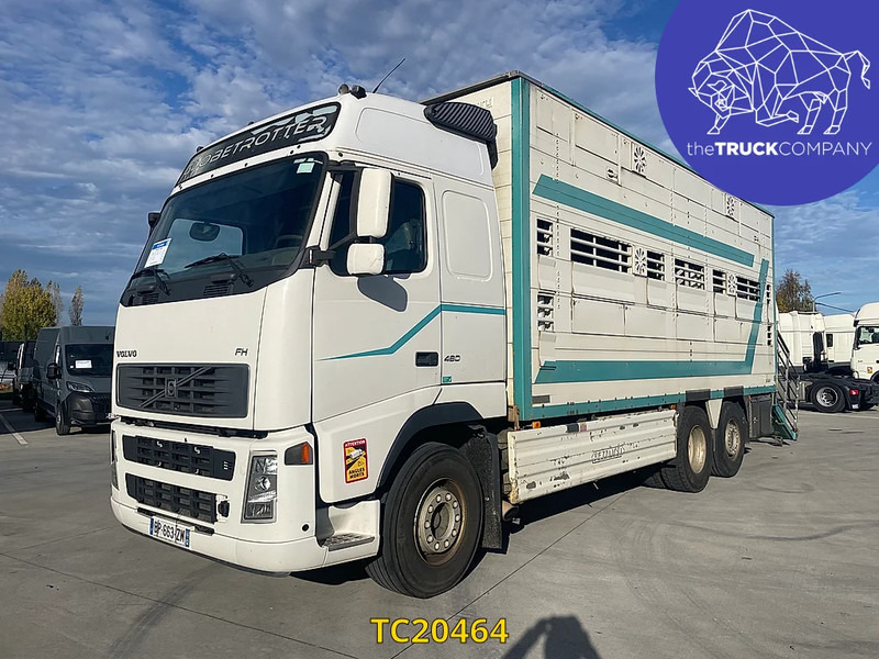 Volvo FH 480 - Hayvan nakil aracı kamyon: fotoğraf 1 Volvo FH 480 - Hayvan nakil aracı kamyon: fotoğraf 1