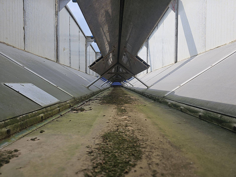 Damperli dorse ASCA S322DC 32M3 BANDLOSSER: fotoğraf 10