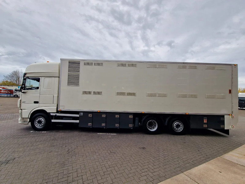 DAF XF 440 SuperSpaceCab 6x2*4 - 2 deck Closed Livestock - 40M2 - Filtersystem - Hayvan nakil aracı kamyon: fotoğraf 4 DAF XF 440 SuperSpaceCab 6x2*4 - 2 deck Closed Livestock - 40M2 - Filtersystem - Hayvan nakil aracı kamyon: fotoğraf 4