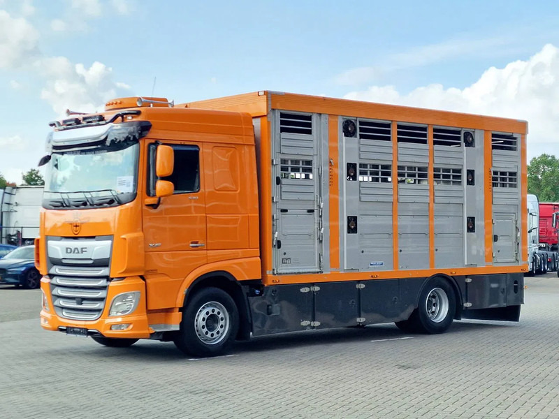 DAF XF 530 4x2 - Livestock Menke 2 deck water & ventilation - Hayvan nakil aracı kamyon: fotoğraf 5 DAF XF 530 4x2 - Livestock Menke 2 deck water & ventilation - Hayvan nakil aracı kamyon: fotoğraf 5