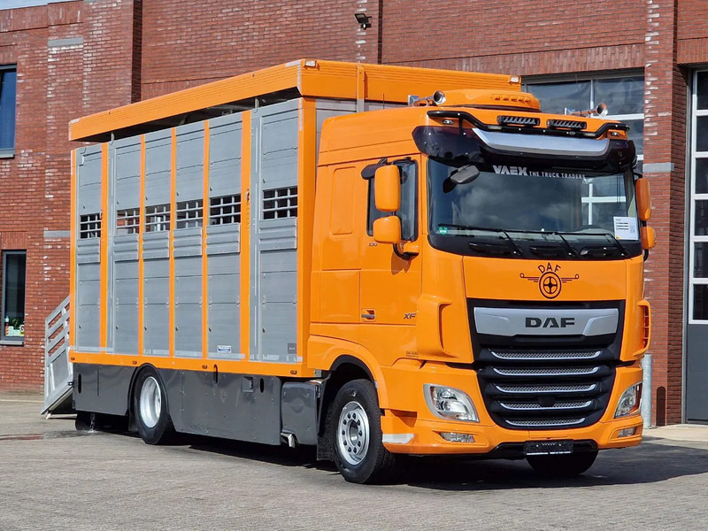 DAF XF 530 4x2 - Livestock Menke 2 deck water & ventilation - Hayvan nakil aracı kamyon: fotoğraf 1 DAF XF 530 4x2 - Livestock Menke 2 deck water & ventilation - Hayvan nakil aracı kamyon: fotoğraf 1