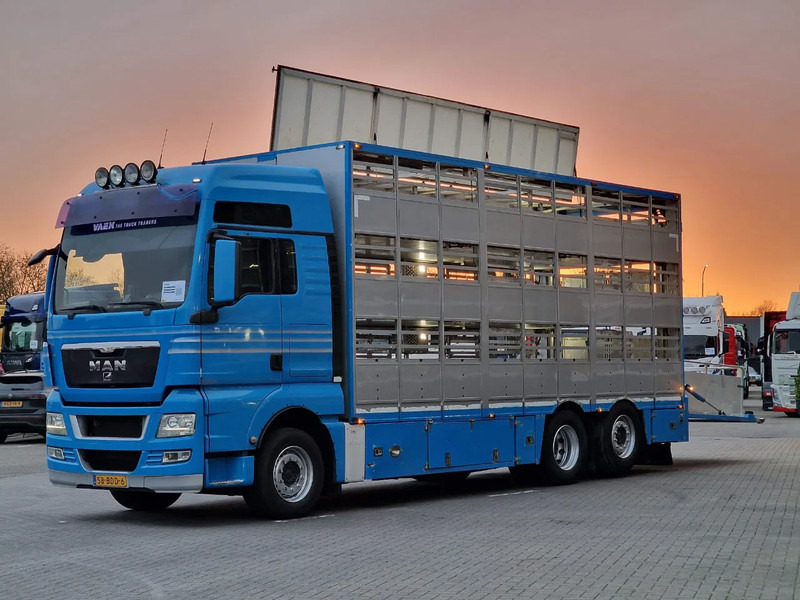 MAN TGX 26.440 6x2*4 - 3 deck Livestock - Water & Ventilation - Manual gearbox - Steering axle - Hayvan nakil aracı kamyon: fotoğraf 4 MAN TGX 26.440 6x2*4 - 3 deck Livestock - Water & Ventilation - Manual gearbox - Steering axle - Hayvan nakil aracı kamyon: fotoğraf 4