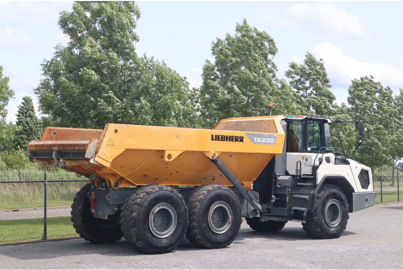 Belden kırma kaya kamyonu Liebherr TA230 | TAILGATE | GOOD CONDITION: fotoğraf 6