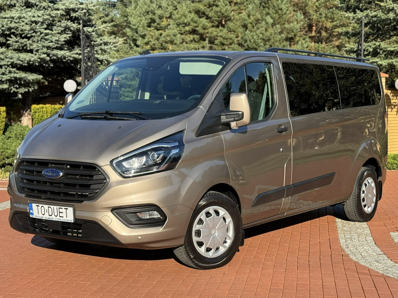 Ford Transit Custom - Minivan: fotoğraf 2 Ford Transit Custom - Minivan: fotoğraf 2