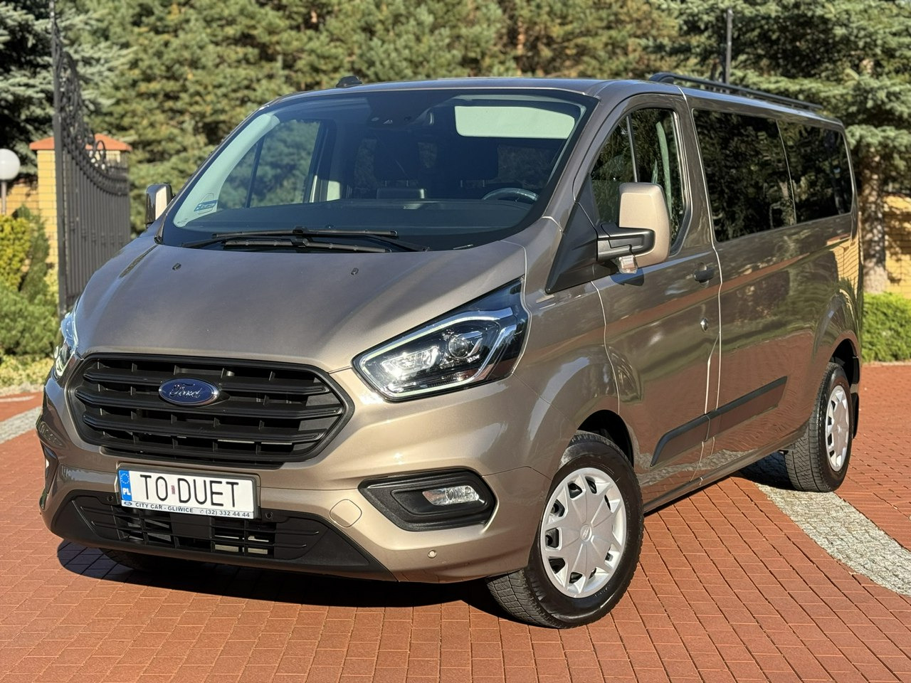 Ford Transit Custom - Minivan: fotoğraf 3 Ford Transit Custom - Minivan: fotoğraf 3