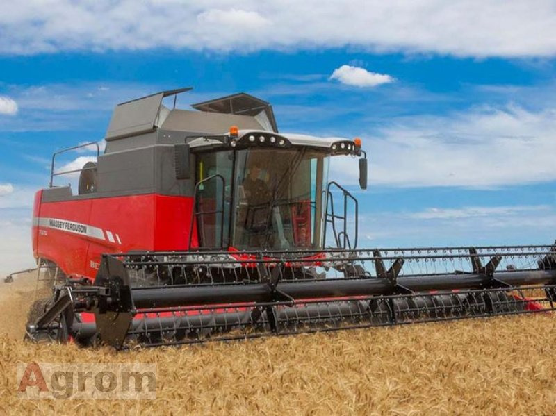 Massey Ferguson 7360 Beta - Biçerdöver: fotoğraf 2 Massey Ferguson 7360 Beta - Biçerdöver: fotoğraf 2