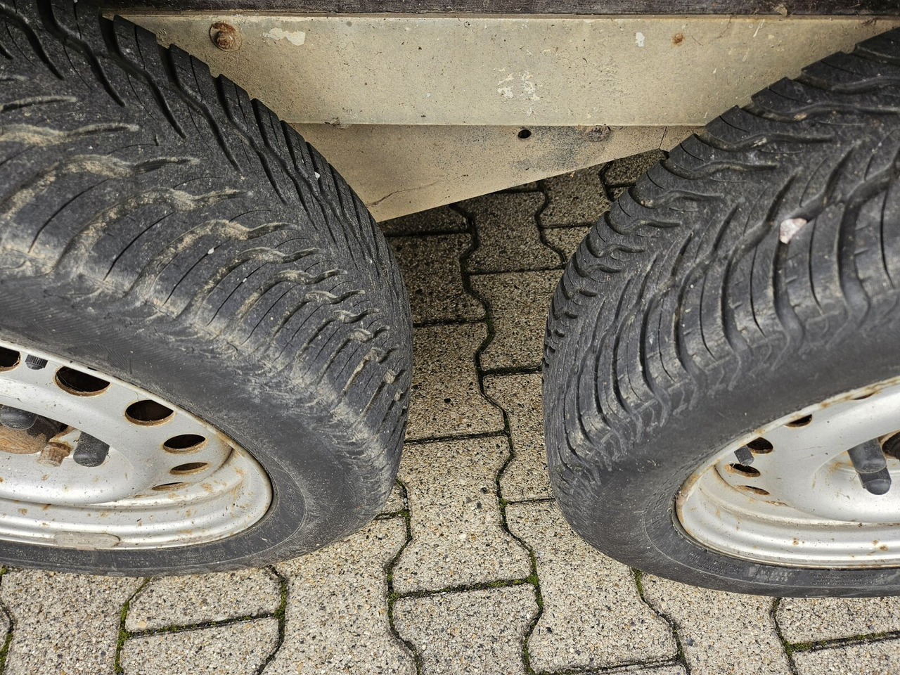 Blomert T2BPA Pferdeanhänger T2BPA Pferdeanhänger - At taşıma römorku: fotoğraf 4 Blomert T2BPA Pferdeanhänger T2BPA Pferdeanhänger - At taşıma römorku: fotoğraf 4