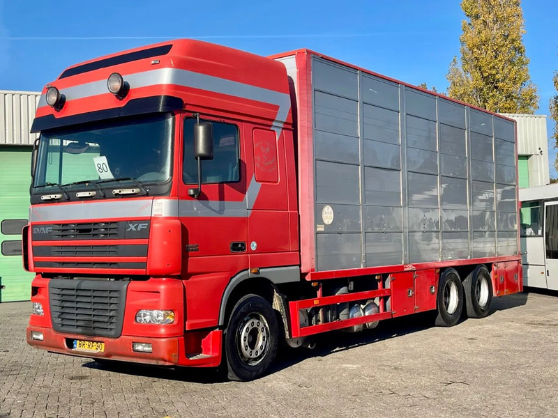 DAF XF 95.430 BERDEX 3 decks. Water, fans, Scales! Excellent condition. - Hayvan nakil aracı kamyon: fotoğraf 1 DAF XF 95.430 BERDEX 3 decks. Water, fans, Scales! Excellent condition. - Hayvan nakil aracı kamyon: fotoğraf 1