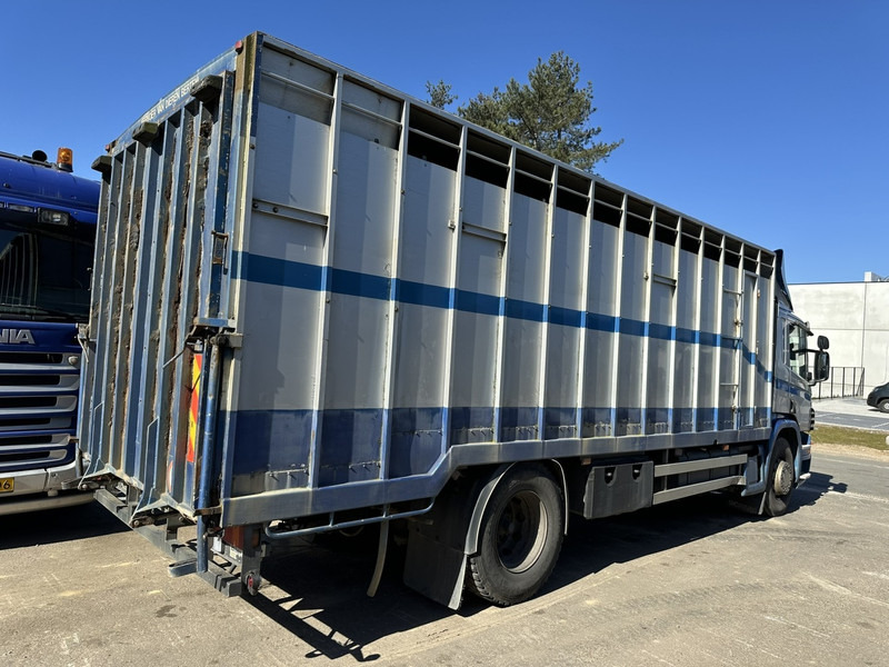 Scania P310 4x2 ANIMAL TRANSPORT - ALU BOX 7m - MANUAL - AIR SUSPENSION - A/C - BELGIAN TRUCK - Hayvan nakil aracı kamyon: fotoğraf 4 Scania P310 4x2 ANIMAL TRANSPORT - ALU BOX 7m - MANUAL - AIR SUSPENSION - A/C - BELGIAN TRUCK - Hayvan nakil aracı kamyon: fotoğraf 4