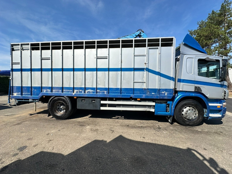 Scania P310 4x2 LIVESTOCK / VEEWAGEN / TIERTRANSPORT / BETAILLERE - ALU BOX 7m - MANUAL - A/C - BELGIAN TRUCK - Hayvan nakil aracı kamyon: fotoğraf 4 Scania P310 4x2 LIVESTOCK / VEEWAGEN / TIERTRANSPORT / BETAILLERE - ALU BOX 7m - MANUAL - A/C - BELGIAN TRUCK - Hayvan nakil aracı kamyon: fotoğraf 4