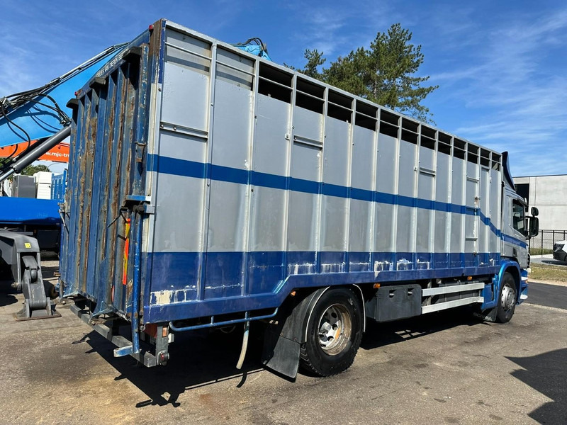 Scania P310 4x2 LIVESTOCK / VEEWAGEN / TIERTRANSPORT / BETAILLERE - ALU BOX 7m - MANUAL - A/C - BELGIAN TRUCK - Hayvan nakil aracı kamyon: fotoğraf 5 Scania P310 4x2 LIVESTOCK / VEEWAGEN / TIERTRANSPORT / BETAILLERE - ALU BOX 7m - MANUAL - A/C - BELGIAN TRUCK - Hayvan nakil aracı kamyon: fotoğraf 5