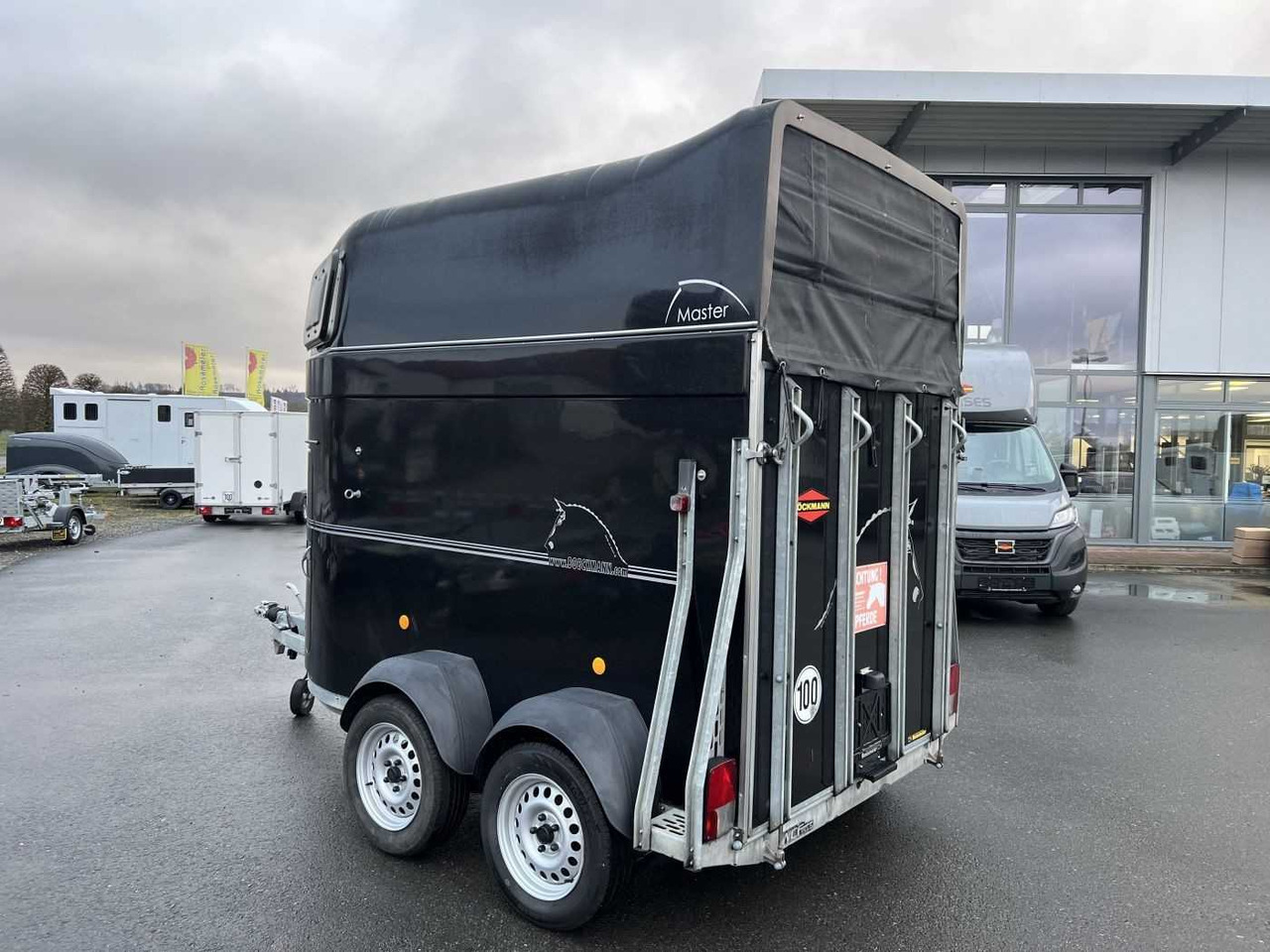 BOECKMANN Master S - WCF ALB Pferdeanhänger - At taşıma römorku: fotoğraf 4 BOECKMANN Master S - WCF ALB Pferdeanhänger - At taşıma römorku: fotoğraf 4