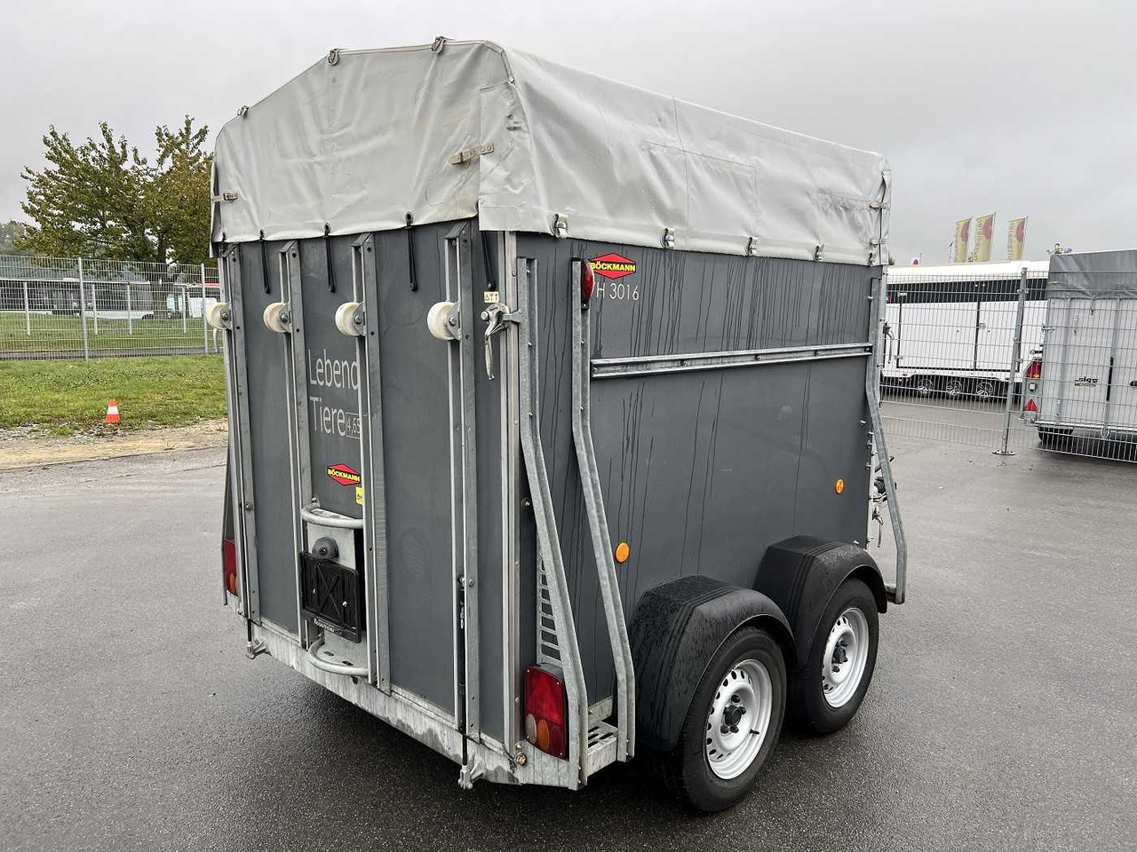BOECKMANN VH 3016/24 Viehanhänger - Hayvan nakil aracı römork: fotoğraf 3 BOECKMANN VH 3016/24 Viehanhänger - Hayvan nakil aracı römork: fotoğraf 3