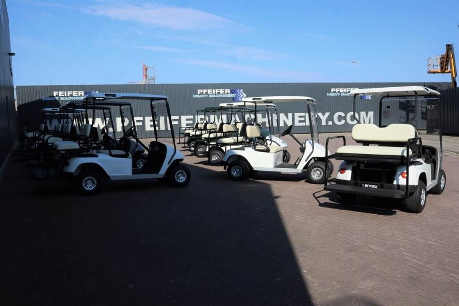 BRINGO DG-C2 Valid Inspection, *Guarantee! Dutch R - Golf arabası: fotoğraf 5 BRINGO DG-C2 Valid Inspection, *Guarantee! Dutch R - Golf arabası: fotoğraf 5