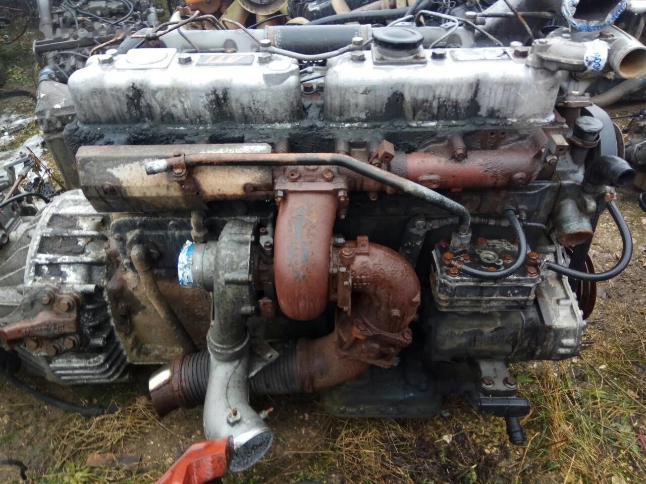 DAF ATI WS268 DAF ATI DAF 85 95 - Motor - Kamyon: fotoğraf 2 DAF ATI WS268 DAF ATI DAF 85 95 - Motor - Kamyon: fotoğraf 2