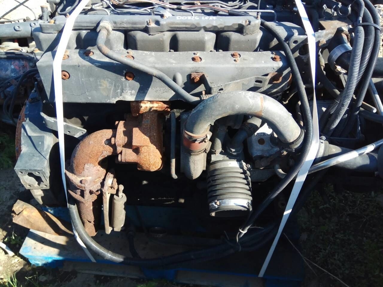 MAN D0826 LF17 264 E2 MAN - Motor - Kamyon: fotoğraf 2 MAN D0826 LF17 264 E2 MAN - Motor - Kamyon: fotoğraf 2