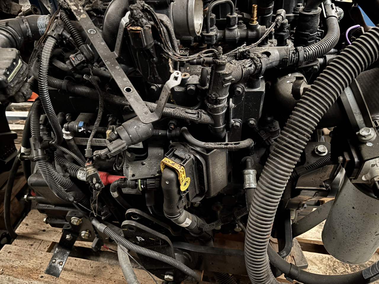 DEUTZ 3.6 75 KM (55.4 kW) Silnik CZĘŚCI Manitou MT1033TCD3.6L04 MT 1033 TCD 3.6 L04 C4DI90 - Motor ve yedek parça - İş makinaları: fotoğraf 4 DEUTZ 3.6 75 KM (55.4 kW) Silnik CZĘŚCI Manitou MT1033TCD3.6L04 MT 1033 TCD 3.6 L04 C4DI90 - Motor ve yedek parça - İş makinaları: fotoğraf 4