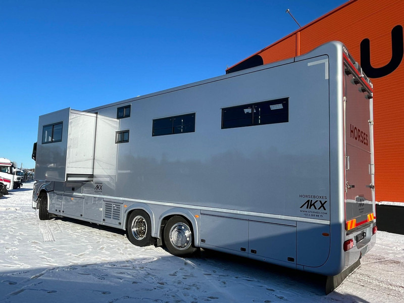 Mercedes-Benz Actros 2551 STX 6x2*4 - At taşıma aracı: fotoğraf 4 Mercedes-Benz Actros 2551 STX 6x2*4 - At taşıma aracı: fotoğraf 4