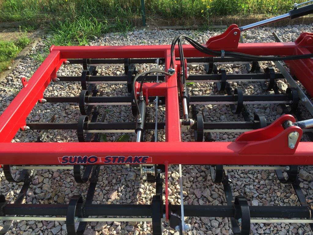 Sumo  - Tırmık: fotoğraf 4 Sumo  - Tırmık: fotoğraf 4