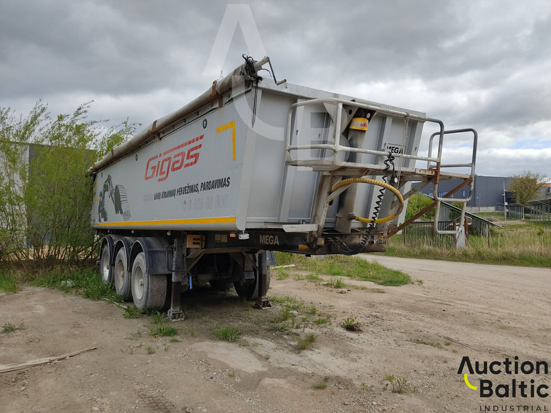 Mega - Tenteli dorse: fotoğraf 1 Mega - Tenteli dorse: fotoğraf 1