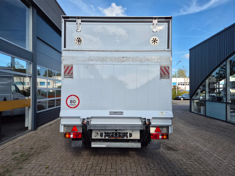 Kapalı kasa kamyonet Mercedes-Benz Sprinter 516 CDI BE Clixtar/ Webasto/ 27 KUB/ Nutzlast 3.3T/ 073688: fotoğraf 7 Kapalı kasa kamyonet Mercedes-Benz Sprinter 516 CDI BE Clixtar/ Webasto/ 27 KUB/ Nutzlast 3.3T/ 073688: fotoğraf 7