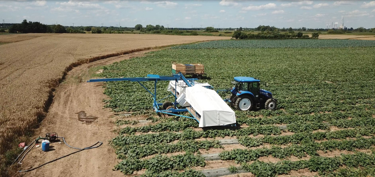 AGRO-LIFT Kombajn do ogórków - Hasat makinesi: fotoğraf 5 AGRO-LIFT Kombajn do ogórków - Hasat makinesi: fotoğraf 5