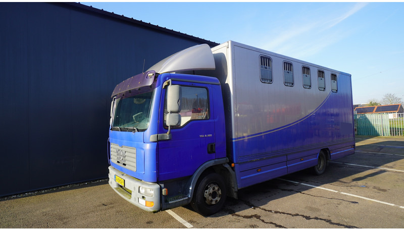 MAN TGL 8.180 HORSE TRANPORT 515.000KM - At taşıma aracı: fotoğraf 3 MAN TGL 8.180 HORSE TRANPORT 515.000KM - At taşıma aracı: fotoğraf 3