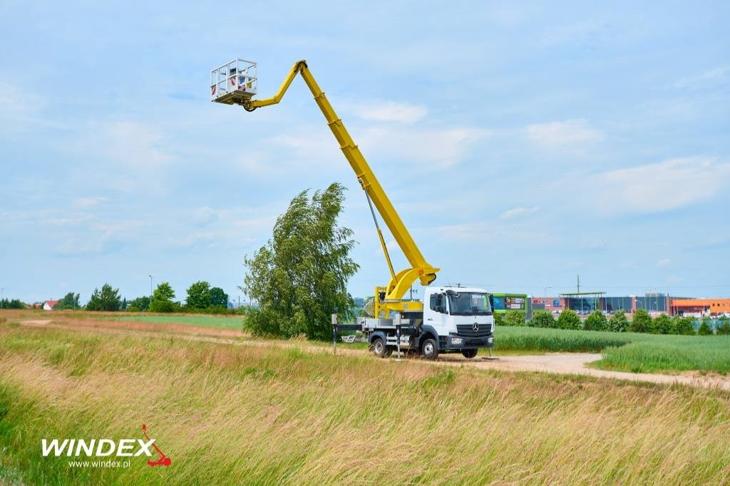Araç üzerine platform Palfinger P 300 KS: fotoğraf 19