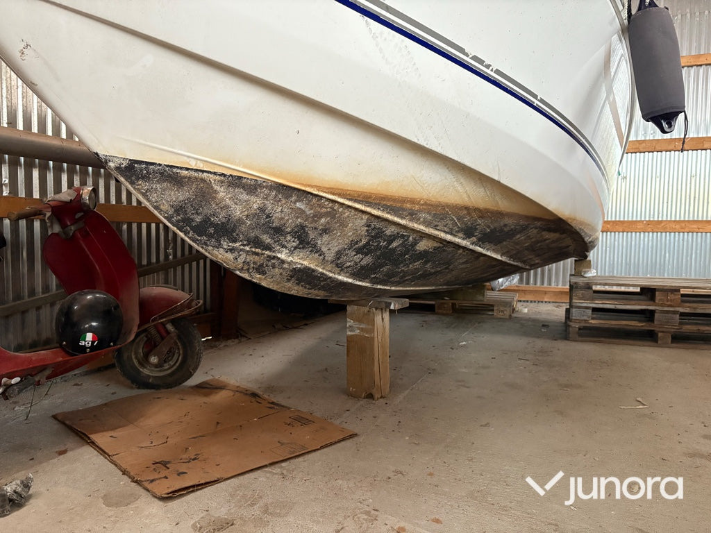 Diğer araçlar Båt - Campion Allante 545i Bowrider: fotoğraf 9