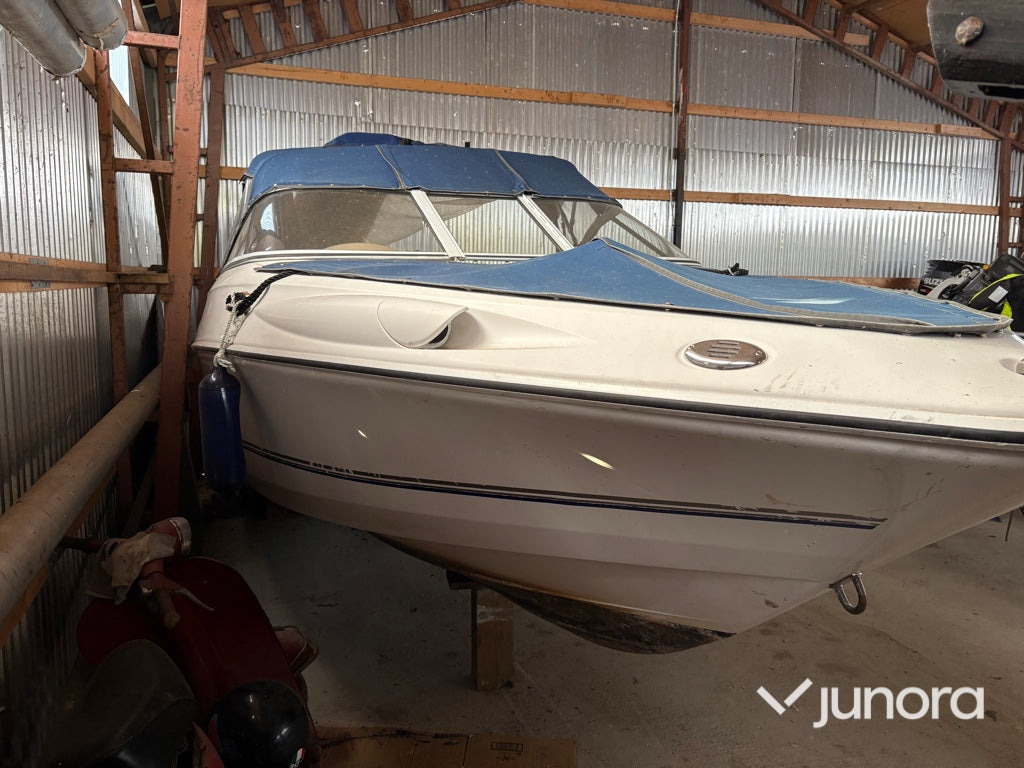 Diğer araçlar Båt - Campion Allante 545i Bowrider: fotoğraf 6