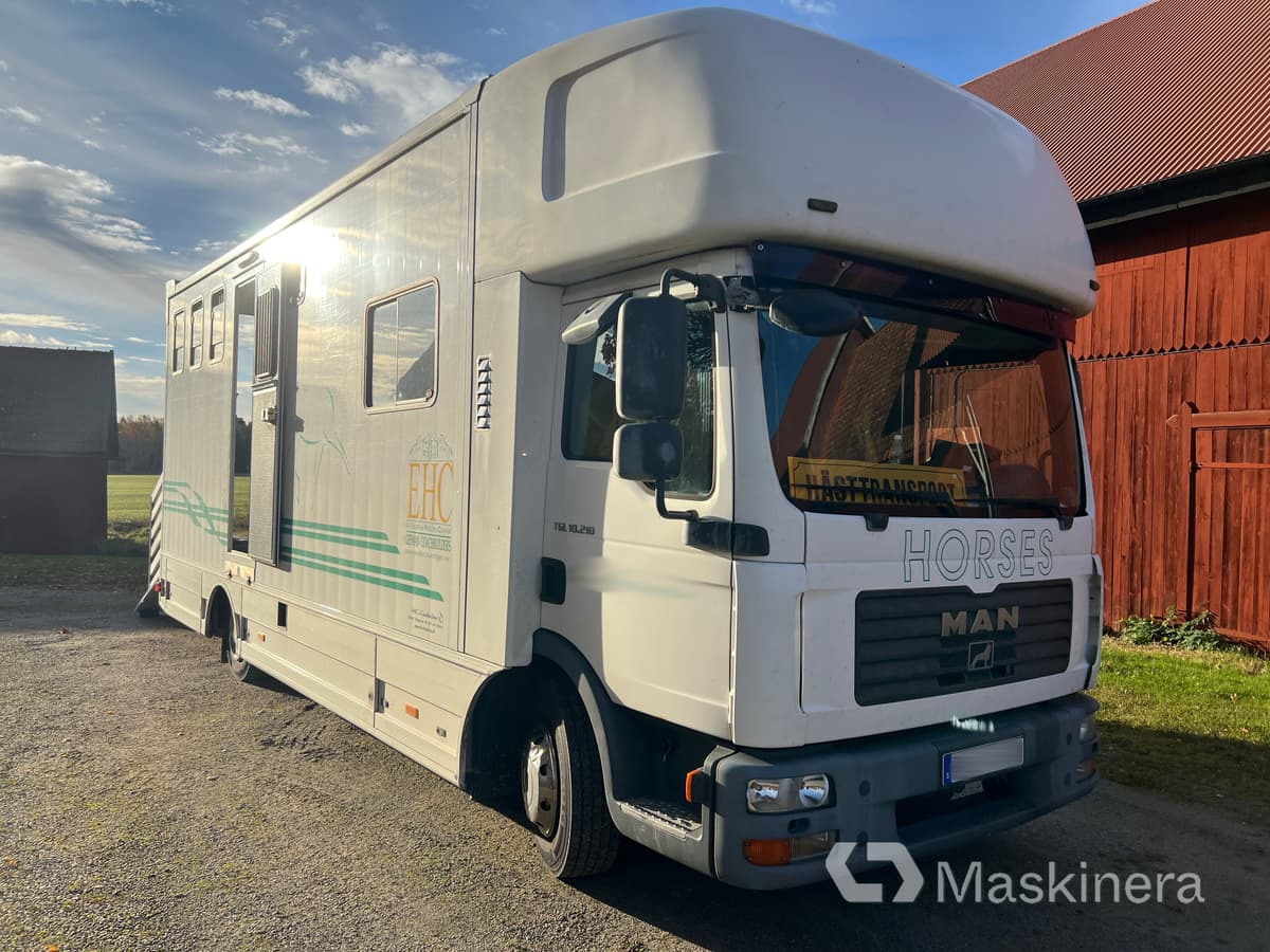 Hästlastbil MAN TGL 10.210 4X2 BL - At taşıma aracı: fotoğraf 3 Hästlastbil MAN TGL 10.210 4X2 BL - At taşıma aracı: fotoğraf 3