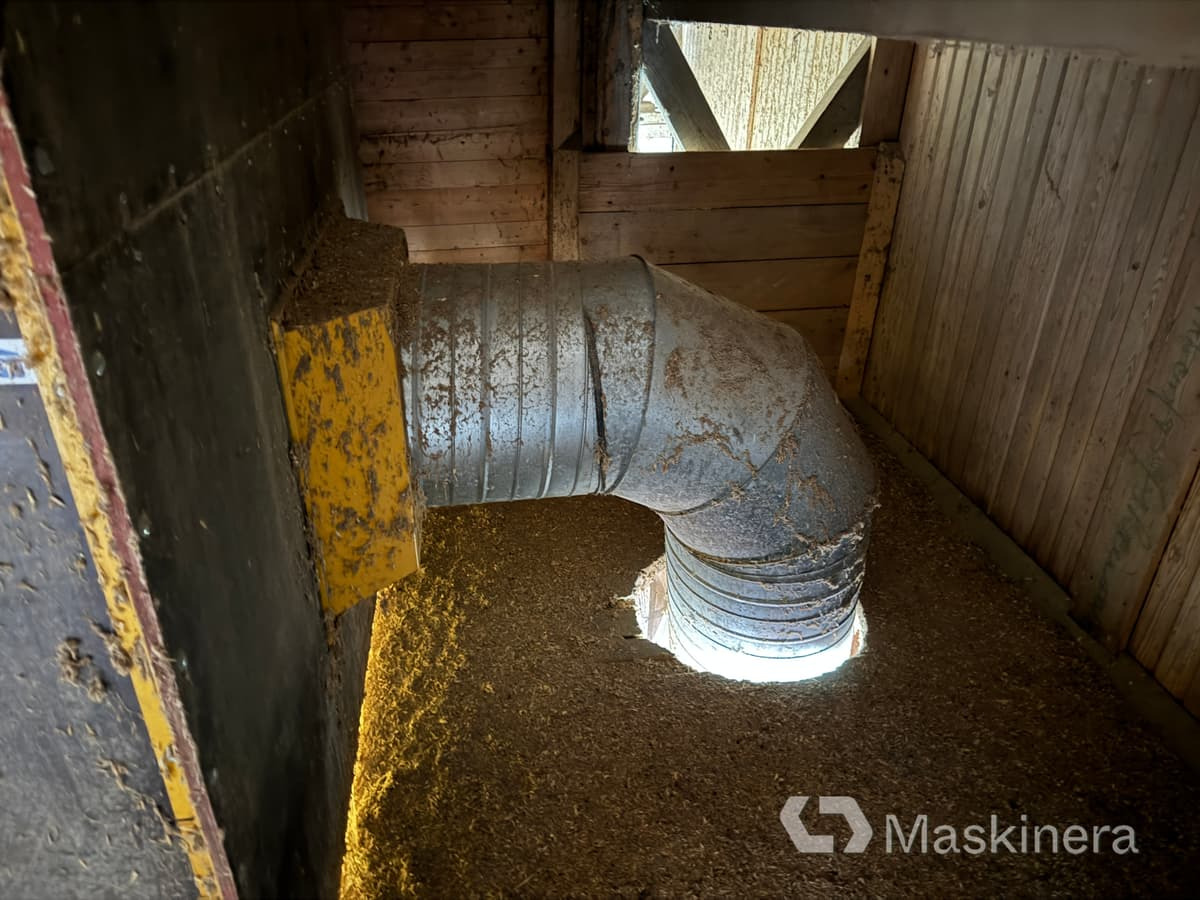 Spannmålstork - Çöp sasörü: fotoğraf 5 Spannmålstork - Çöp sasörü: fotoğraf 5
