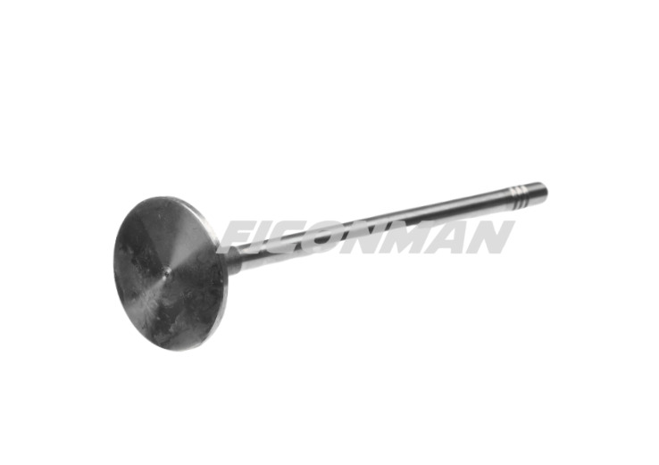 Iveco Daily Fiat Ducato F1C Exhaust Valve 504081062 - Yedek parça - Kamyonet: fotoğraf 2 Iveco Daily Fiat Ducato F1C Exhaust Valve 504081062 - Yedek parça - Kamyonet: fotoğraf 2