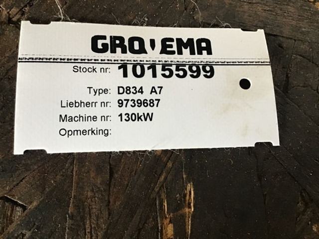 Motor Liebherr D834: fotoğraf 12