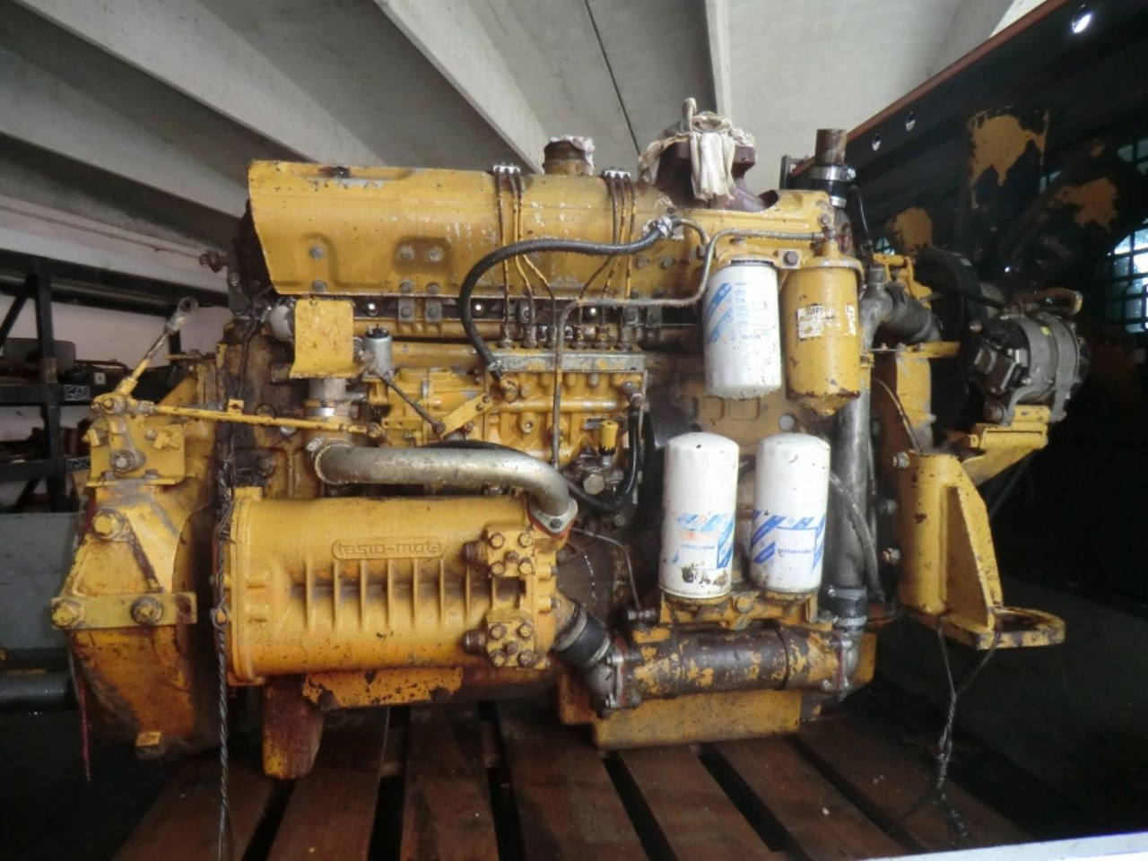 FIAT 8215-02 *542 Motore perfettamente funzionante completo di pompa nafta e iniettori revisionati. - Motor - İş makinaları: fotoğraf 1 FIAT 8215-02 *542 Motore perfettamente funzionante completo di pompa nafta e iniettori revisionati. - Motor - İş makinaları: fotoğraf 1