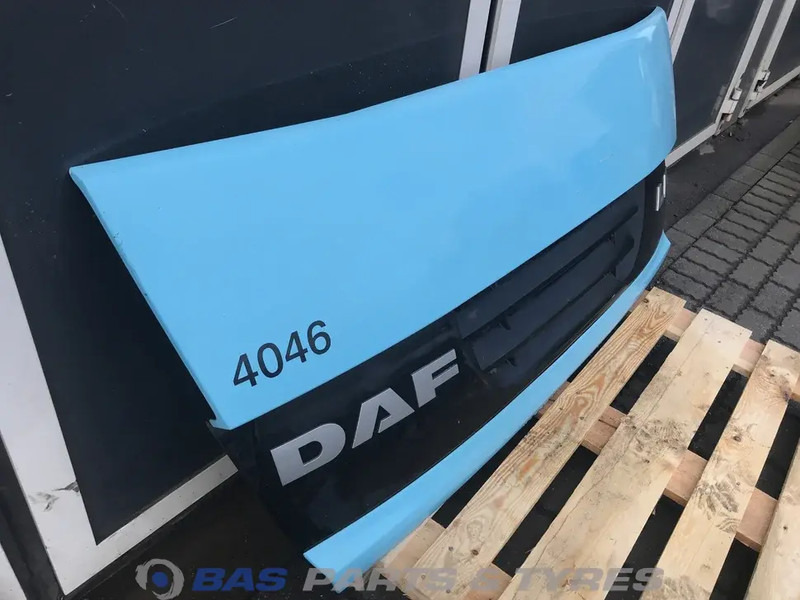 DAF LF55 Euro 4-5 - Izgara - Kamyon: fotoğraf 3 DAF LF55 Euro 4-5 - Izgara - Kamyon: fotoğraf 3