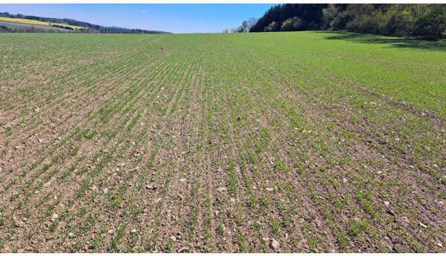 Farmet Falcon 6 PRO Fert+ - Kombine ekim makinesi: fotoğraf 3 Farmet Falcon 6 PRO Fert+ - Kombine ekim makinesi: fotoğraf 3