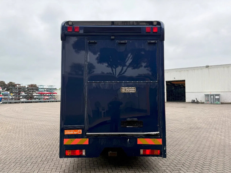 Mercedes-Benz Atego 1223 / ENGINE RUNNING / ONLY:159450 KM / HORSETRUCK / HEATED BOX / WATERTANK / LIVING ROOM / EURO-2 / MANUAL / 1998 - At taşıma aracı: fotoğraf 4 Mercedes-Benz Atego 1223 / ENGINE RUNNING / ONLY:159450 KM / HORSETRUCK / HEATED BOX / WATERTANK / LIVING ROOM / EURO-2 / MANUAL / 1998 - At taşıma aracı: fotoğraf 4