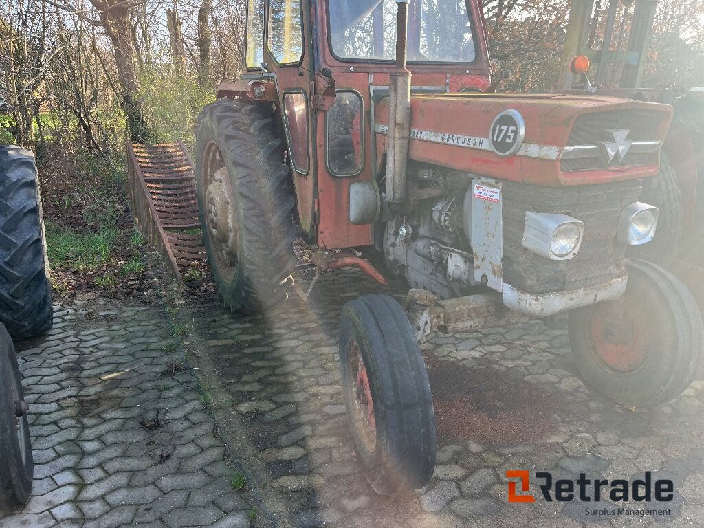 Traktor Massey Ferguson 175 Traktor - Traktör: fotoğraf 4 Traktor Massey Ferguson 175 Traktor - Traktör: fotoğraf 4