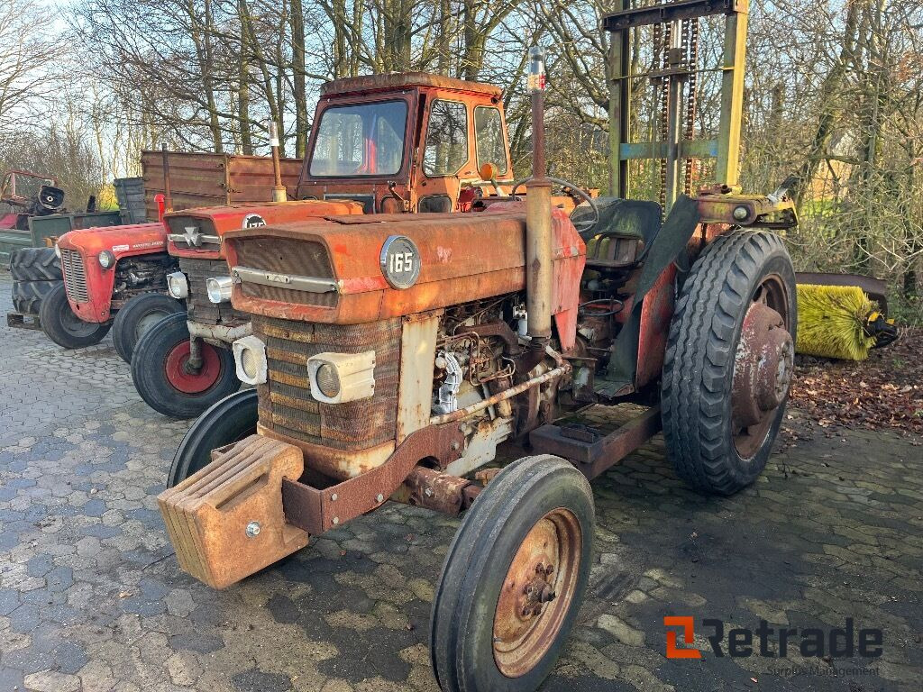 Traktor Massey Ferguson MF 165 - Traktör: fotoğraf 1 Traktor Massey Ferguson MF 165 - Traktör: fotoğraf 1