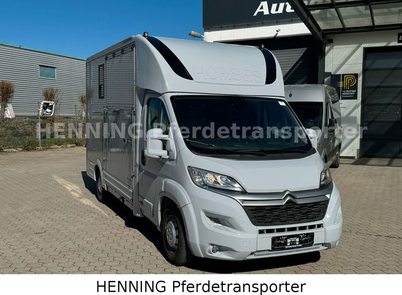 Citroën Jumper 3 - Sitzer *AUFBAU NEU* - At taşıma aracı: fotoğraf 2 Citroën Jumper 3 - Sitzer *AUFBAU NEU* - At taşıma aracı: fotoğraf 2