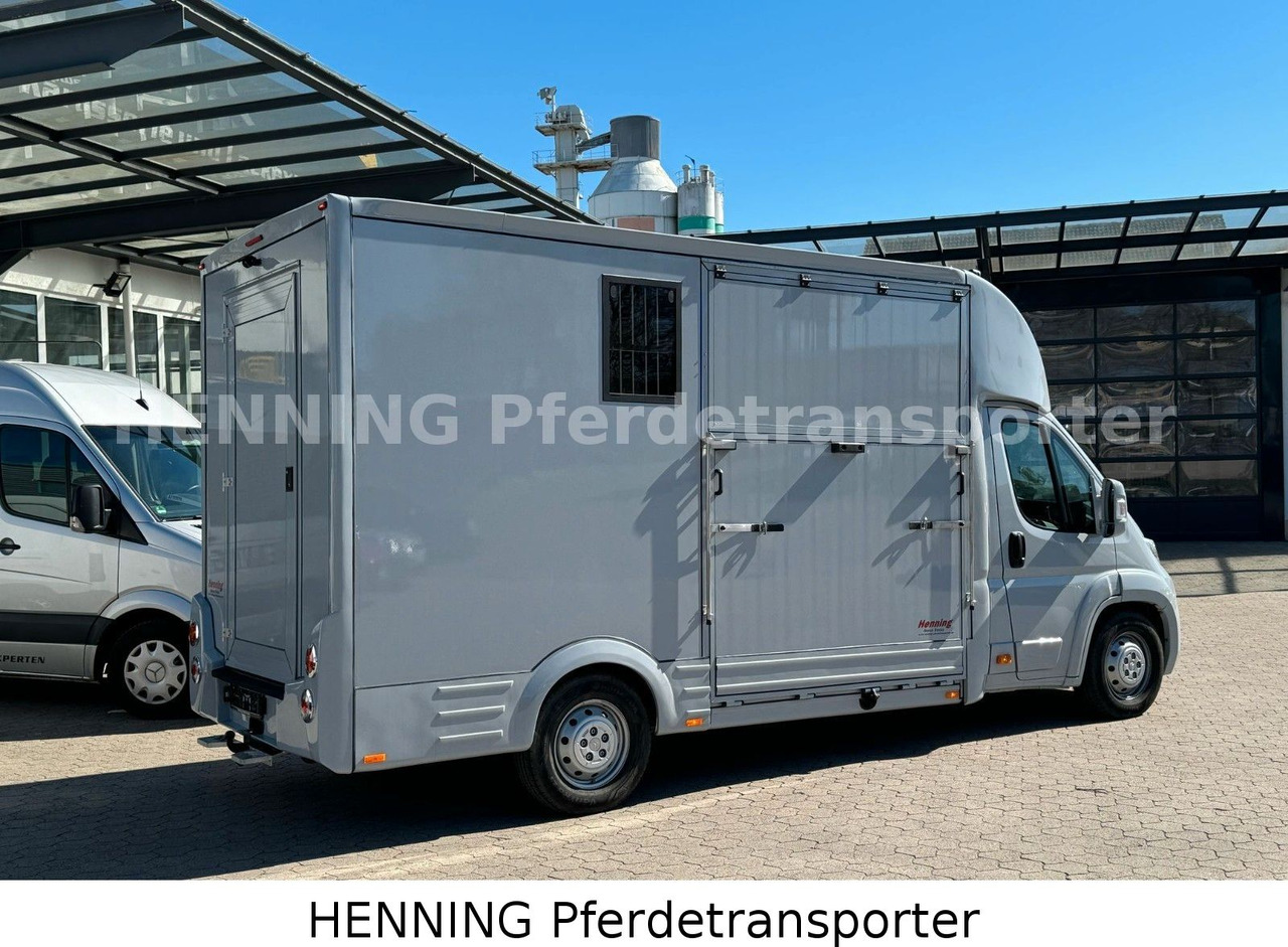 Citroën Jumper 3 - Sitzer *AUFBAU NEU* - At taşıma aracı: fotoğraf 3 Citroën Jumper 3 - Sitzer *AUFBAU NEU* - At taşıma aracı: fotoğraf 3