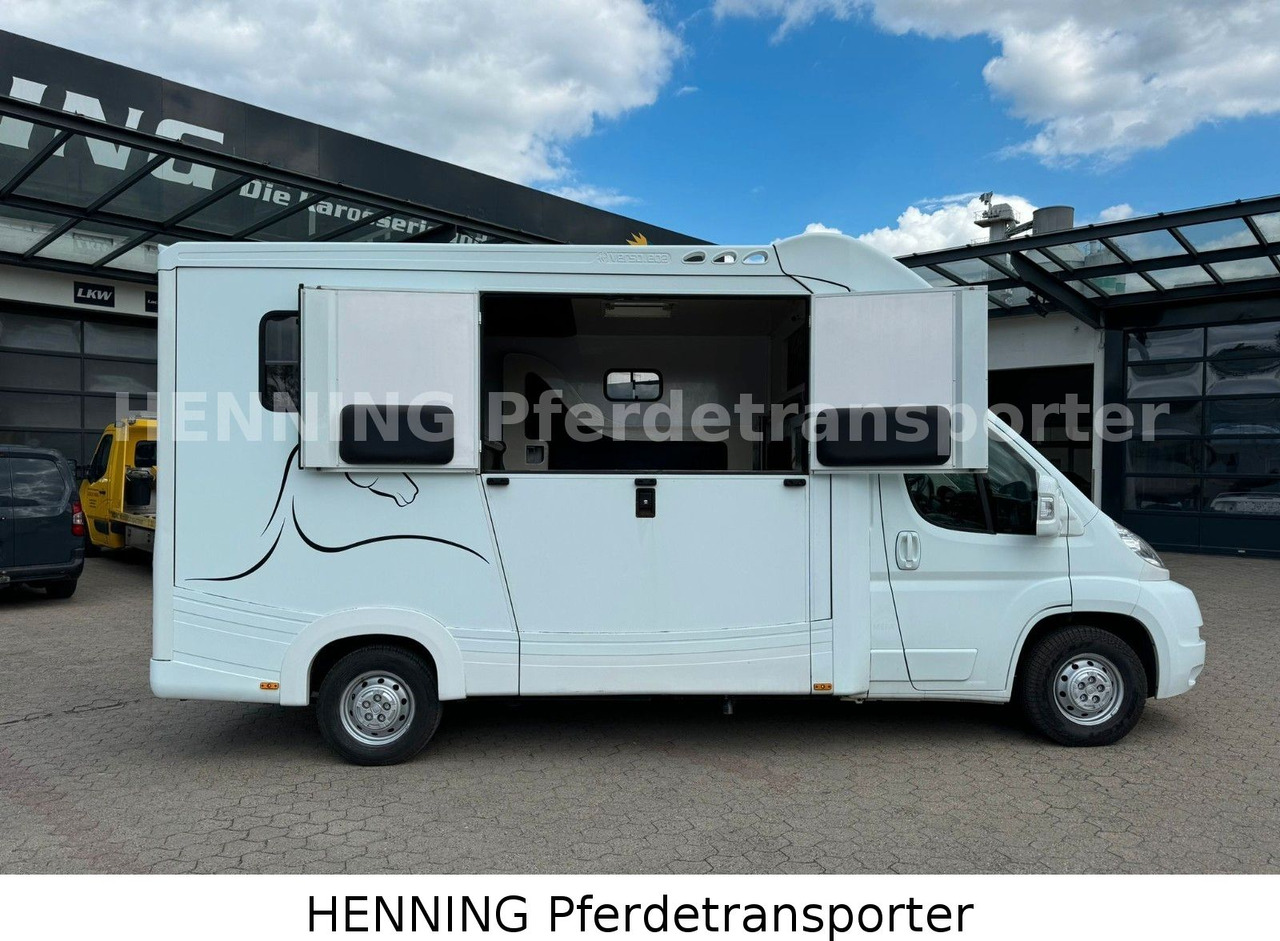 Fiat Ducato 3-Sitzer - At taşıma aracı, Kamyonet: fotoğraf 3 Fiat Ducato 3-Sitzer - At taşıma aracı, Kamyonet: fotoğraf 3