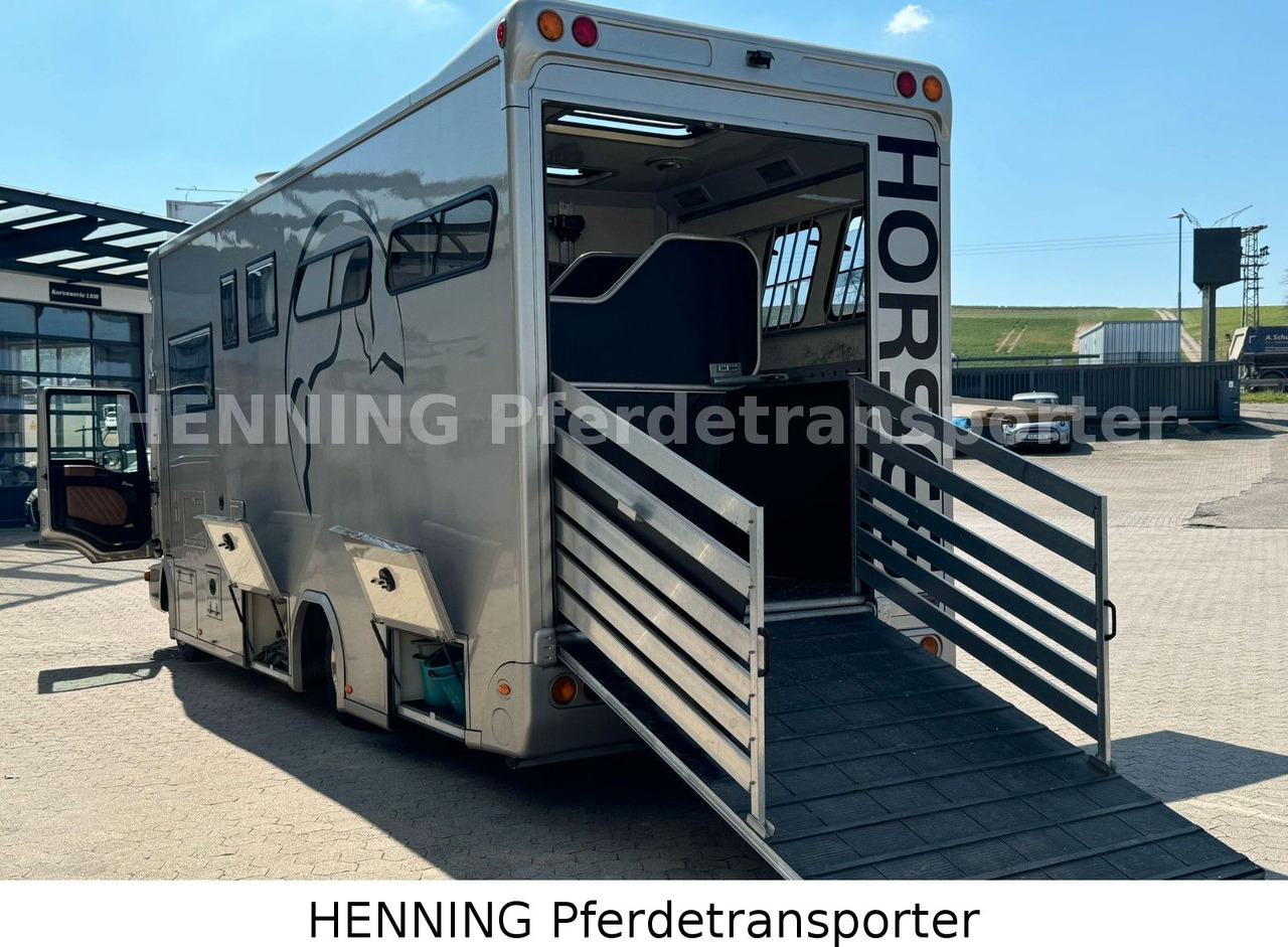 MAN TGL PFERDETRANSPORTER RJH - Hayvan nakil aracı kamyon: fotoğraf 5 MAN TGL PFERDETRANSPORTER RJH - Hayvan nakil aracı kamyon: fotoğraf 5