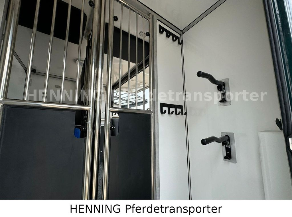 At taşıma aracı Renault Master 5 - Sitzer Automatik Renault Master 6 - Sitzer Automatik: fotoğraf 11 At taşıma aracı Renault Master 5 - Sitzer Automatik Renault Master 6 - Sitzer Automatik: fotoğraf 11