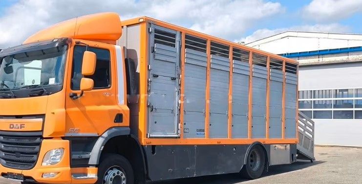 DAF CF 400 Menke Einstock | Transport zwierząt jednopoziomowy | 2 kratownice do bydła| Retarder | Euro 6 - Hayvan nakil aracı kamyon: fotoğraf 2 DAF CF 400 Menke Einstock | Transport zwierząt jednopoziomowy | 2 kratownice do bydła| Retarder | Euro 6 - Hayvan nakil aracı kamyon: fotoğraf 2