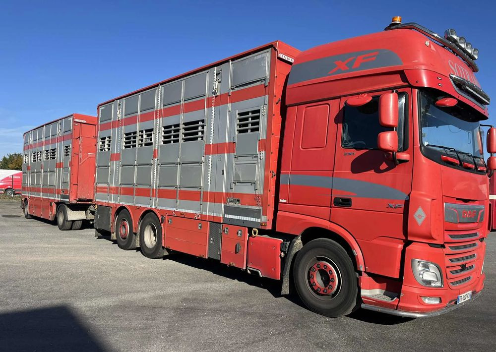 DAF XF 530 + Przyczepa Pezzaoli - 3X Trzoda, 2 X Bydło I 3 poziomy I Podnoszony dach I Hydroburta I Osie Skrętne I Poidła I Wentylatory I Pilot Manualny | - Hayvan nakil aracı kamyon: fotoğraf 2 DAF XF 530 + Przyczepa Pezzaoli - 3X Trzoda, 2 X Bydło I 3 poziomy I Podnoszony dach I Hydroburta I Osie Skrętne I Poidła I Wentylatory I Pilot Manualny | - Hayvan nakil aracı kamyon: fotoğraf 2