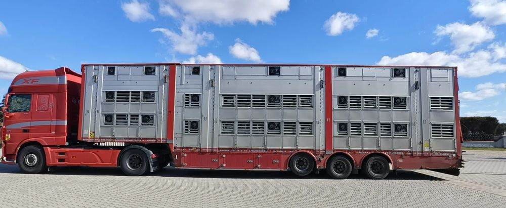 Pezzaioli SBA32/hydrauliczny dach/hydrauliczna rampa/ 3 poziomy/ 2xbydło -3xtrzoda/wentylatory/poidła/sterowanie pilotem - Hayvan nakil aracı dorse: fotoğraf 3 Pezzaioli SBA32/hydrauliczny dach/hydrauliczna rampa/ 3 poziomy/ 2xbydło -3xtrzoda/wentylatory/poidła/sterowanie pilotem - Hayvan nakil aracı dorse: fotoğraf 3
