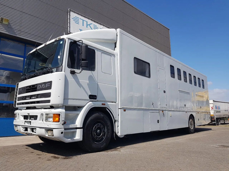 DAF 95.350 Paardenwagen met zitverblijf 7 paarden 7 horses - At taşıma aracı: fotoğraf 1 DAF 95.350 Paardenwagen met zitverblijf 7 paarden 7 horses - At taşıma aracı: fotoğraf 1