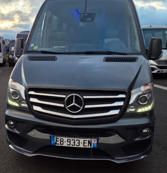 Mercedes-Benz SPRINTER 516 BLUETEC / SPROWADZONY / 86 000 KM - Minibüs, Minivan: fotoğraf 2 Mercedes-Benz SPRINTER 516 BLUETEC / SPROWADZONY / 86 000 KM - Minibüs, Minivan: fotoğraf 2